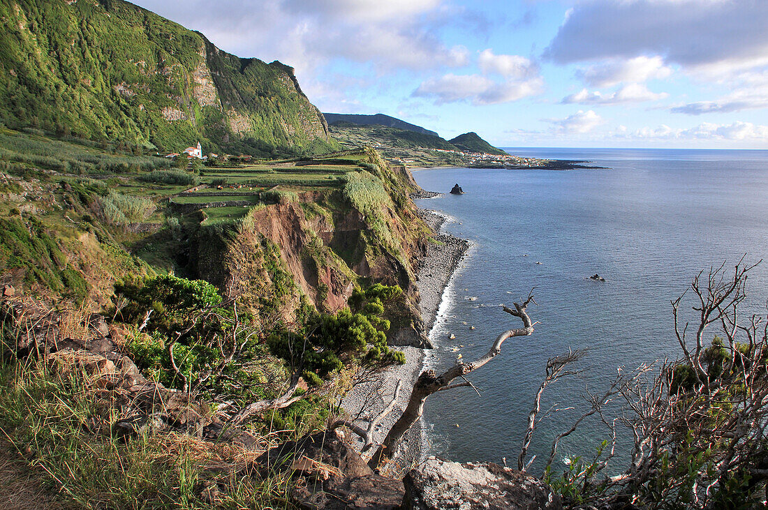 Coastal landscape near Ponta near Faja Grande, West coast, Island of Flores, Azores, Portugal
