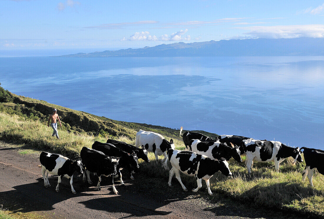 In the highlands with view towards Pico vulcano, Island of Sao Jorge, Azores, Portugal