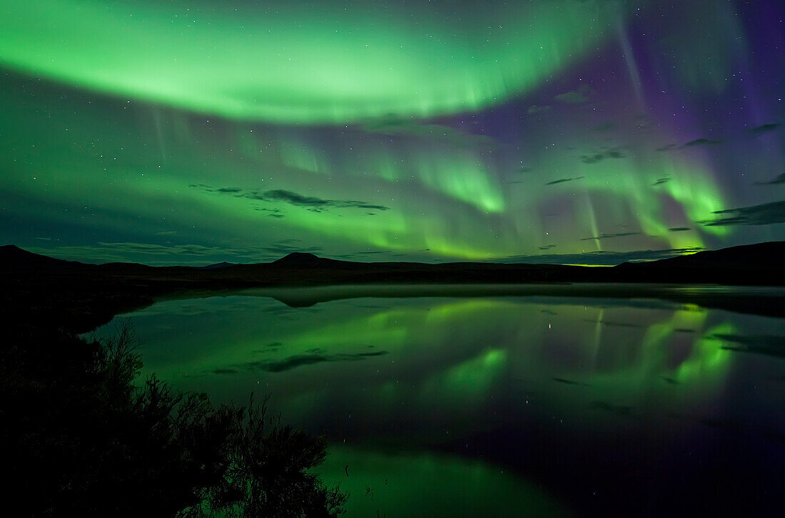Aurora Borealis Over Two Moose Lake Dempster Highway, Yukon Canada