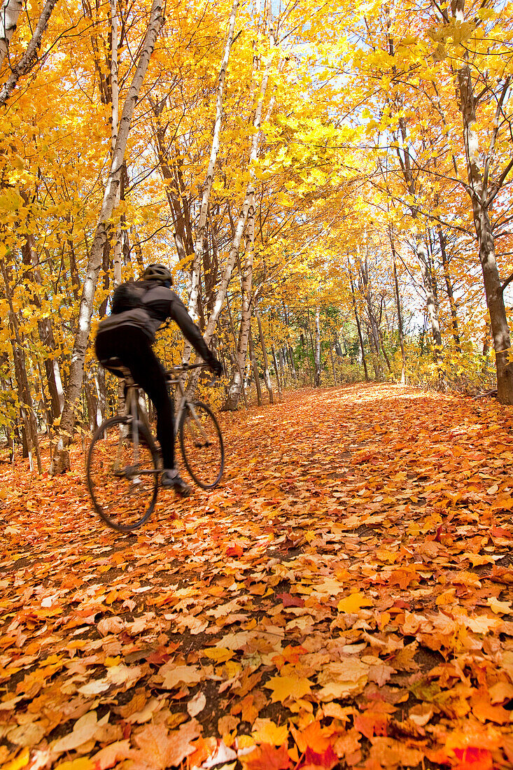 Cyclist Riding In Autumn On Humber Trail, Toronto