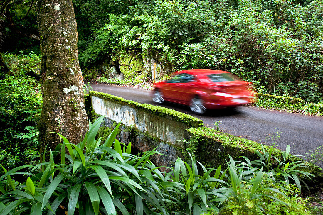 Hawaii, Maui, Kipahulu, The Road to Hana.