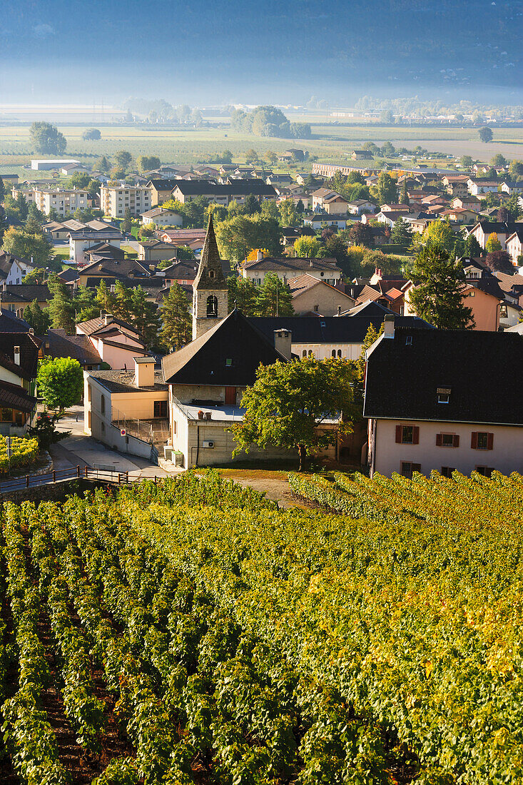 Vineyards and village, Vetroz, Valais, Switzerland