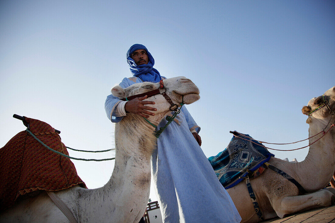 Berber mit Dromedar, Marokko