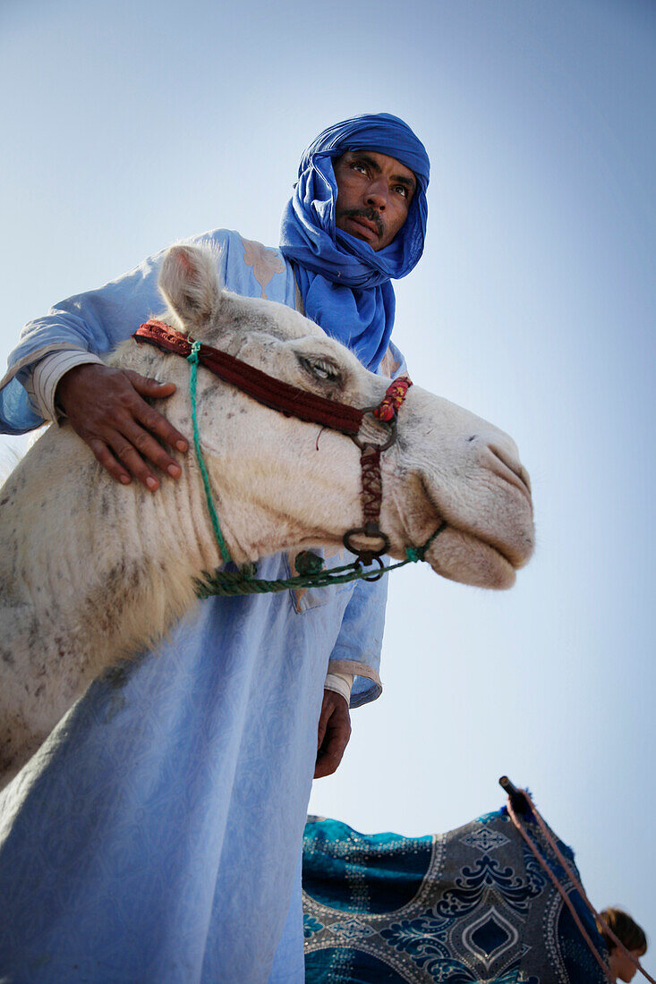 Male Berber with a dromedary, Morocco