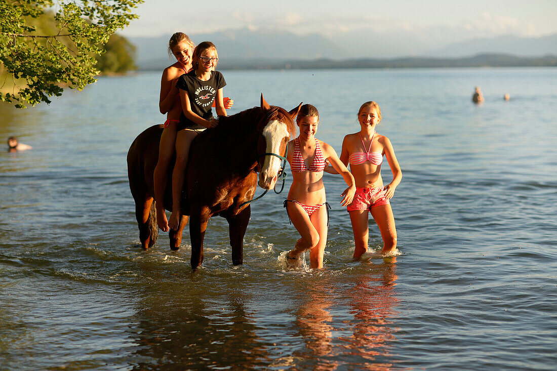 Vier Mädchen mit einem Pferd im Starnberger See, Ammerland, Münsing, Oberbayern, Bayern, Deutschland