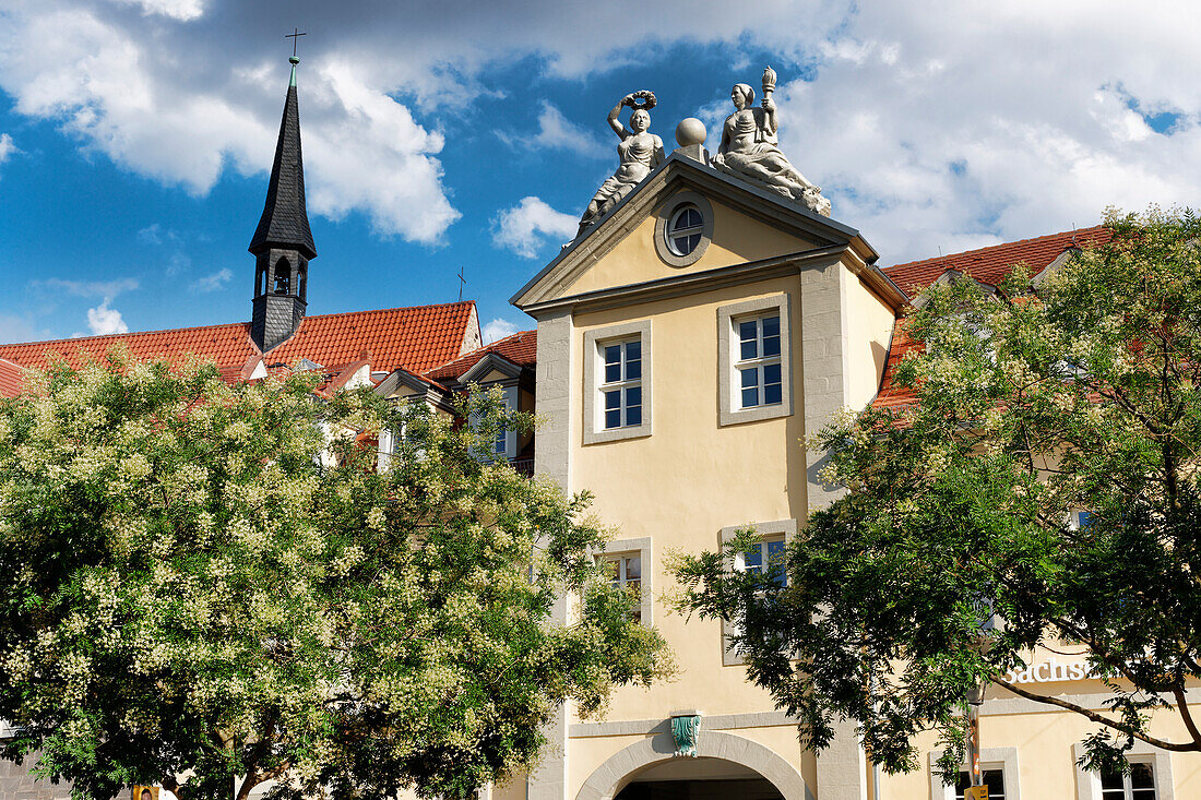 Klosterkirche St. Ursula, Ursulinenkloster und Haus zur Grüne Aue und zum Kardinal, Anger, Erfurt, Thüringen, Deutschland