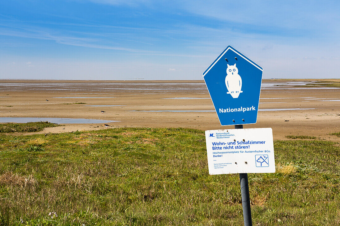 Watt bei Ebbe mit Austernfischern, Juist, Ostfriesische Inseln, Nationalpark Niedersächsisches Wattenmeer, Unesco Weltnaturerbe, Nordsee, Ostfriesland, Niedersachsen, Deutschland, Europa