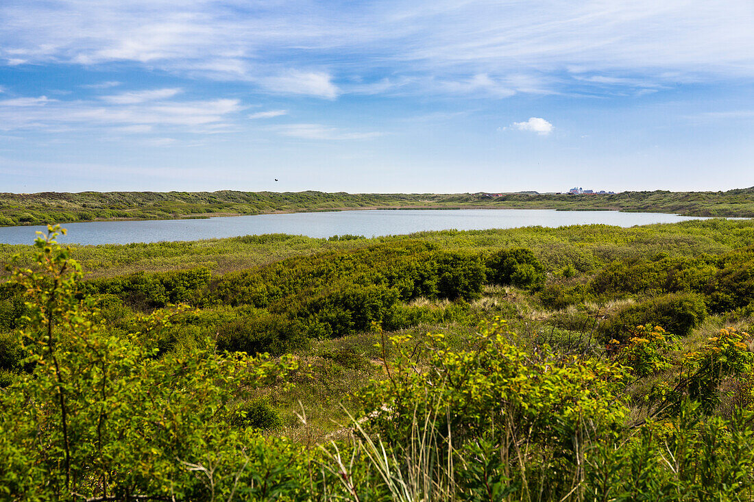 Hammersee Juist, Ostfriesische Inseln, Nationalpark Niedersächsisches Wattenmeer, Nordsee, Ostfriesland, Niedersachsen, Deutschland, Europa