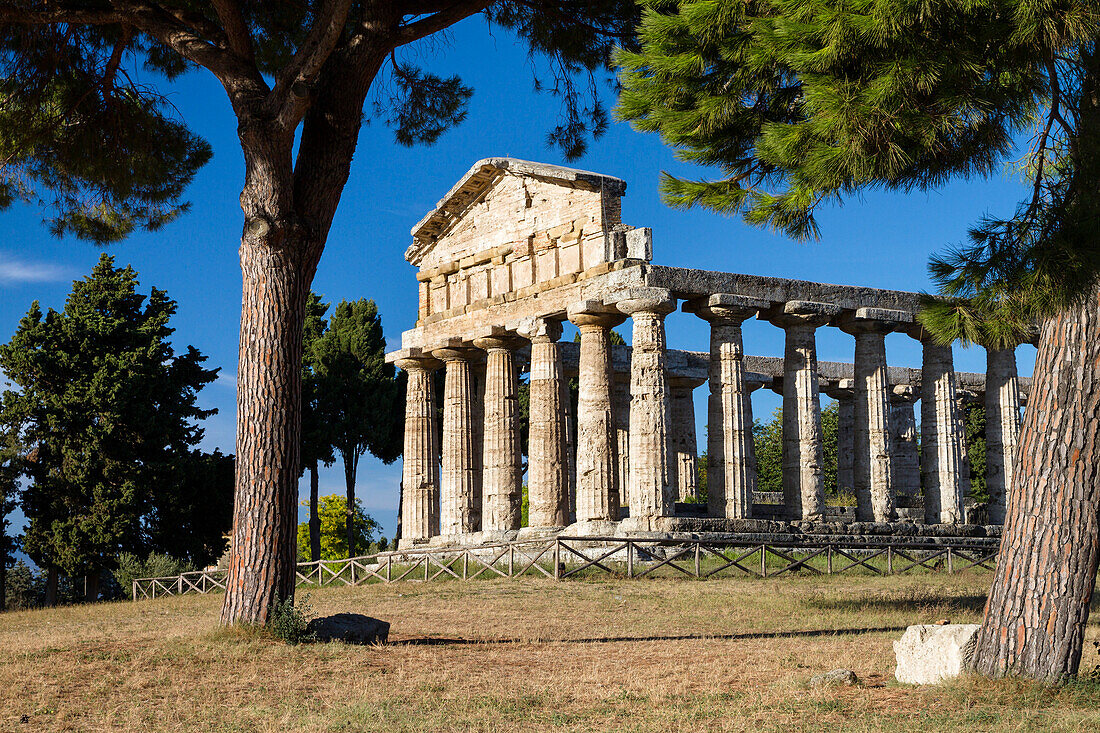 Temple of Athena, historic town of Paestum in the Gulf of Salerno, Capaccio, Campania, Italy, Europe