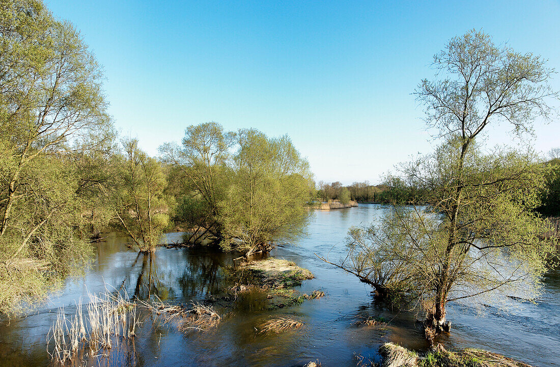 die Oder bei Küstrin, Märkisch-Oderland, Land Brandenburg, Deutschland