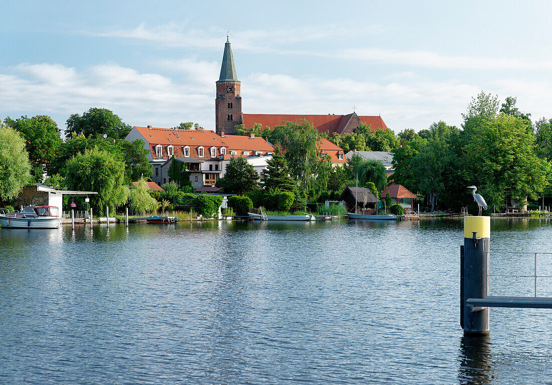 Brandenburger Dom, Brandenburg an der Havel, Land Brandenburg, Deutschland