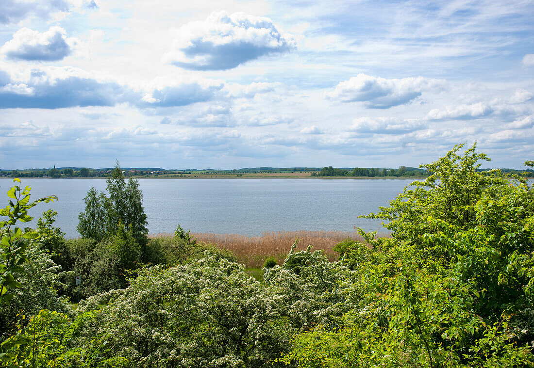 Lake Unteruckersee, Prenzlau, Uckermark, Brandenburg, Germany