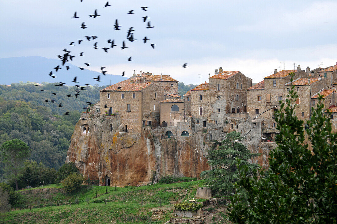 Blick auf Pitigliano, Grosseto, Südtoskana, Toskana, Italien