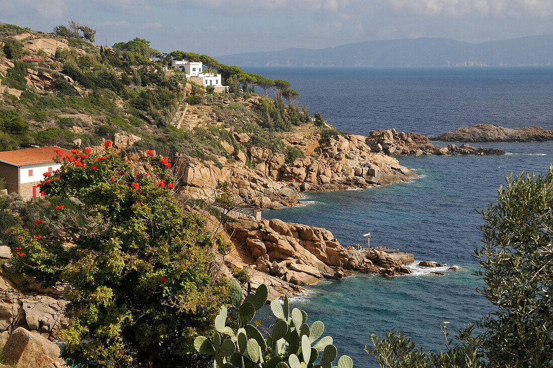 Coastal landscape near Giglio harbour, Giglio Porto, Island of Giglio in Mar Tirreno, South Tuscany, Tuscany, Italy