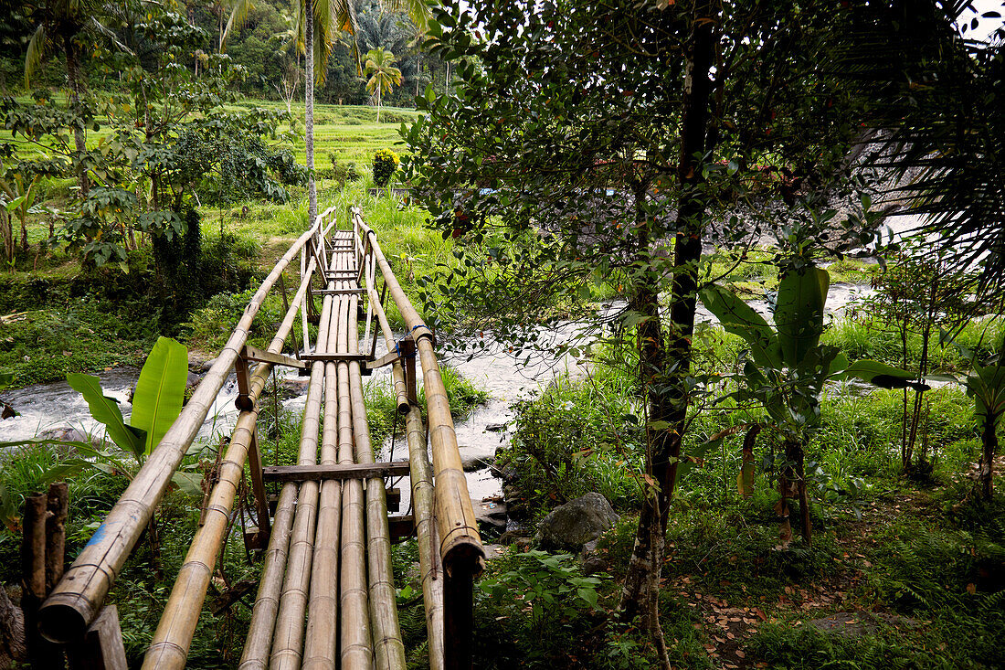 Bamboo bridge, Karangasem, Bali, Indonesia