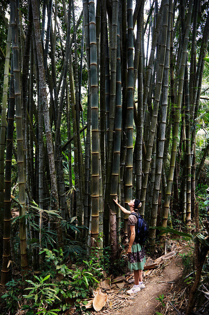 Woman in a bamboo forest, Tenganan, Bali, Indonesia