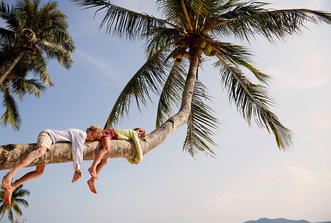 Children lying on a palm tree, Rawa Island, Johor, Malaysia