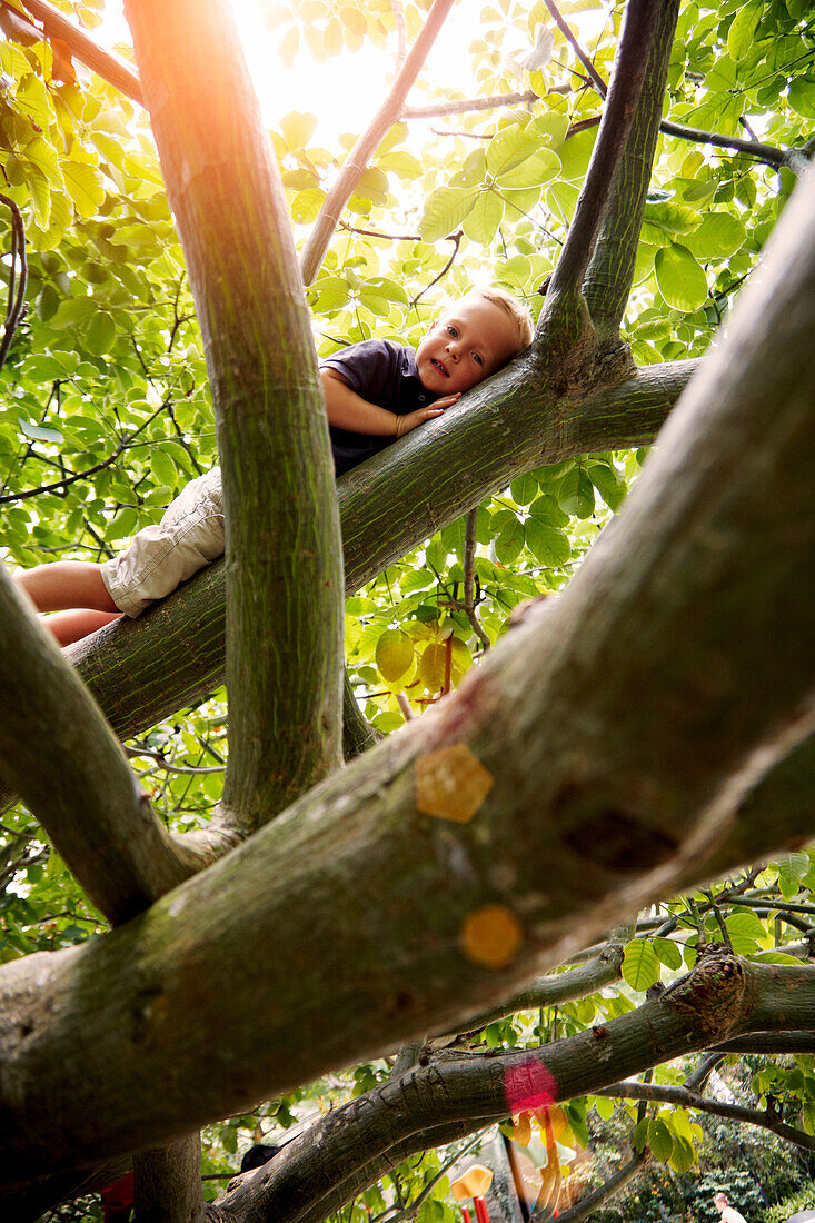 Boy lying in a tree, Botanic Gardens, Singapore