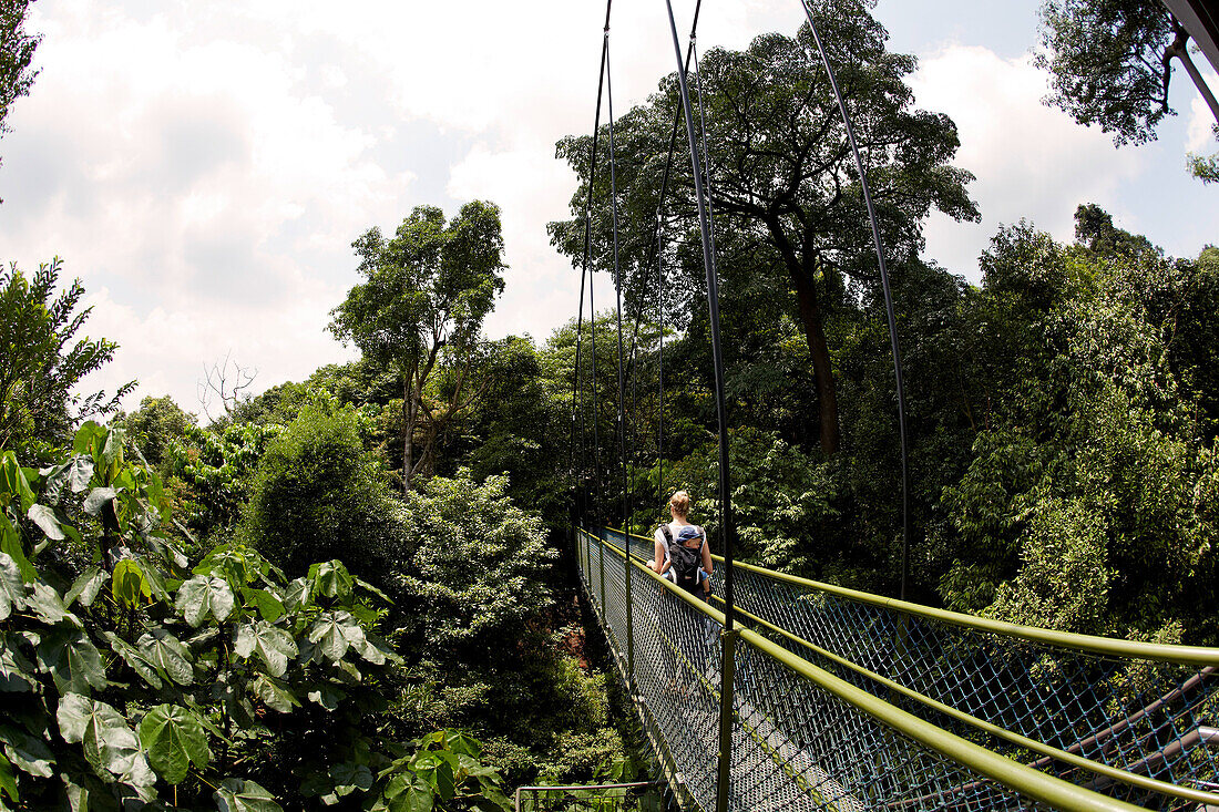 Mutter trägt Sohn über einer Hängebrücke, HSBC Tree Top Walk, MacRitchie Reservat, Singapur