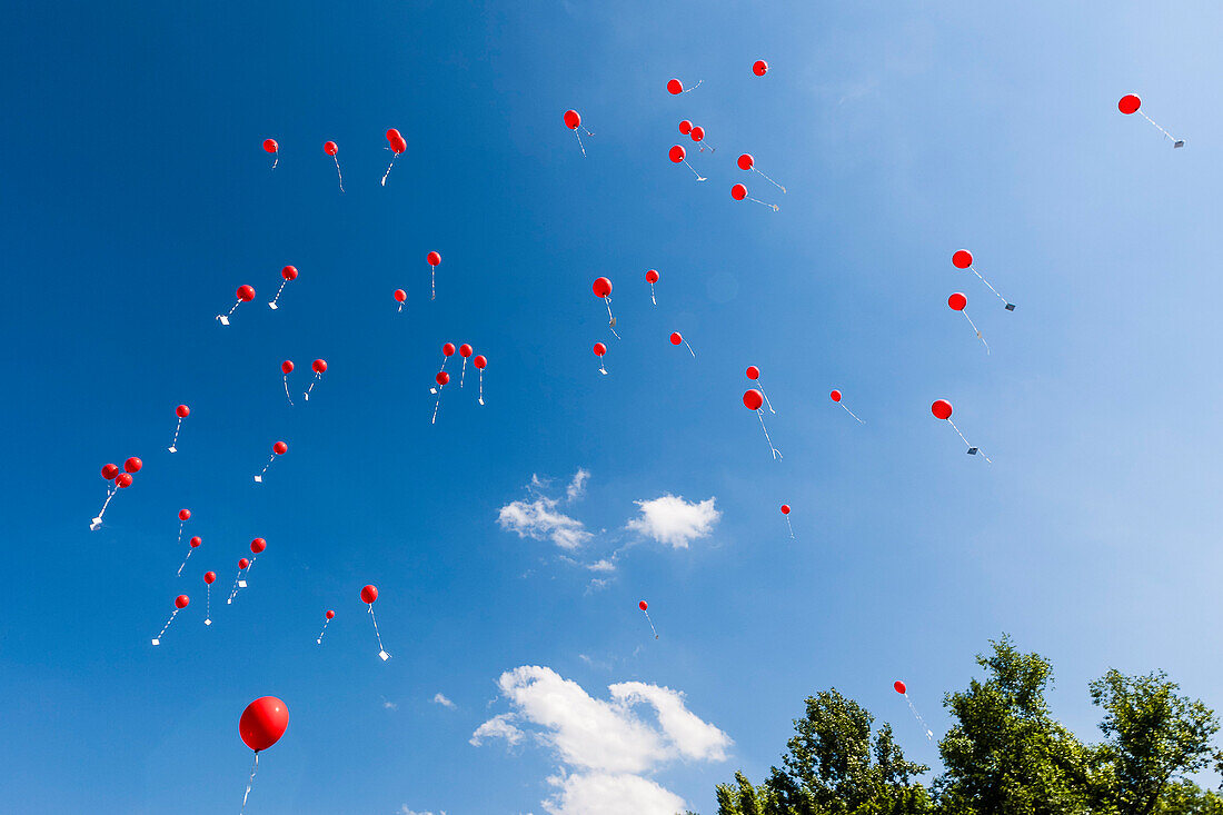 Rote Luftballons steigen zum Himmel auf, Englischer Garten, München, Oberbayern, Bayern, Deutschland