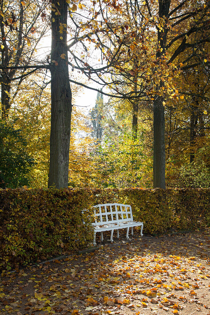Herbstlaub und Parkbank im Hofgarten, Ansbach, Franken, Bayern, Deutschland