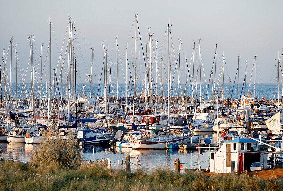 Yacht port in the evening, seaside resort of Kuehlungsborn at the Baltic Sea, Mecklenburg-Western Pomerania, Germany