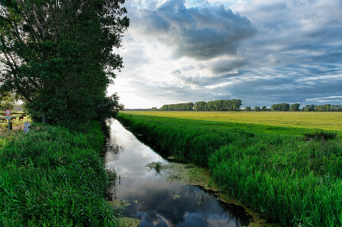 Landscape at Bad Doberan, Mecklenburg-Western Pomerania, Germany