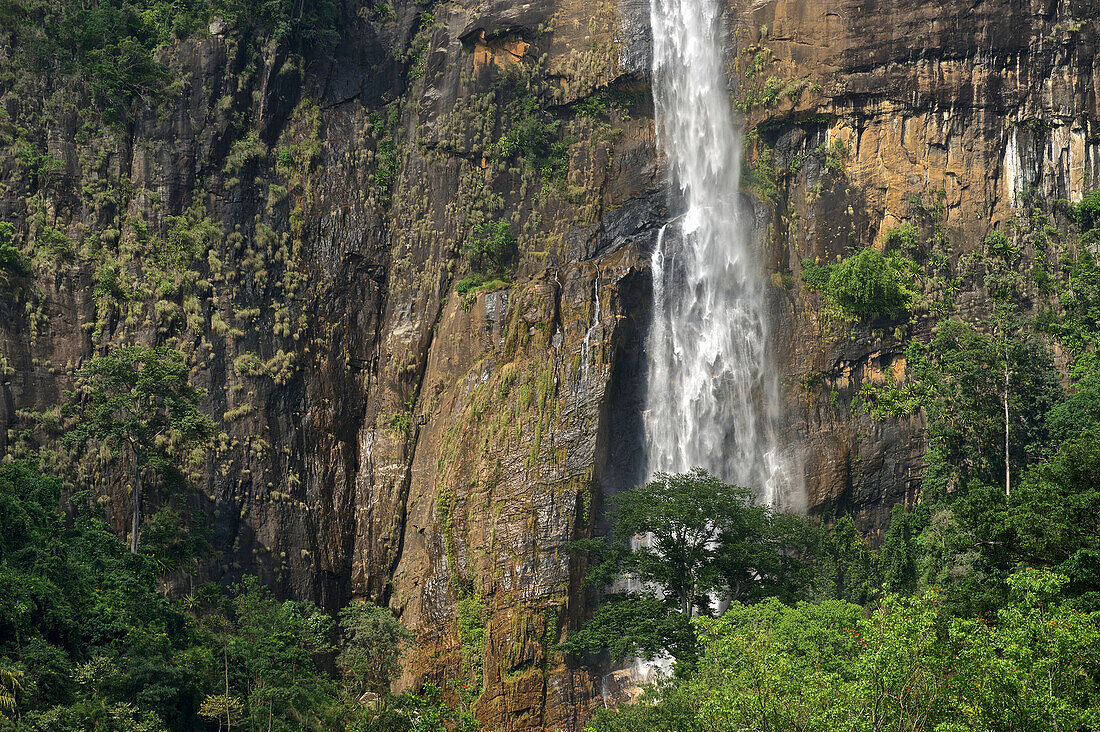 Diyaluma waterfalls between Wellawaya and Haputale, UVA Province, Southern edge of the highlands, Sri Lanka, South Asia
