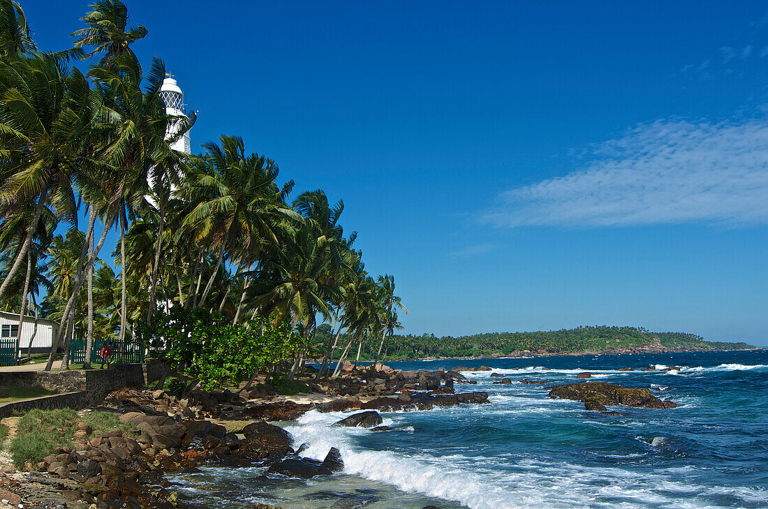 Palm trees and lighthouse at Dondra at the southernmost point of Sri Lanka, South Asia