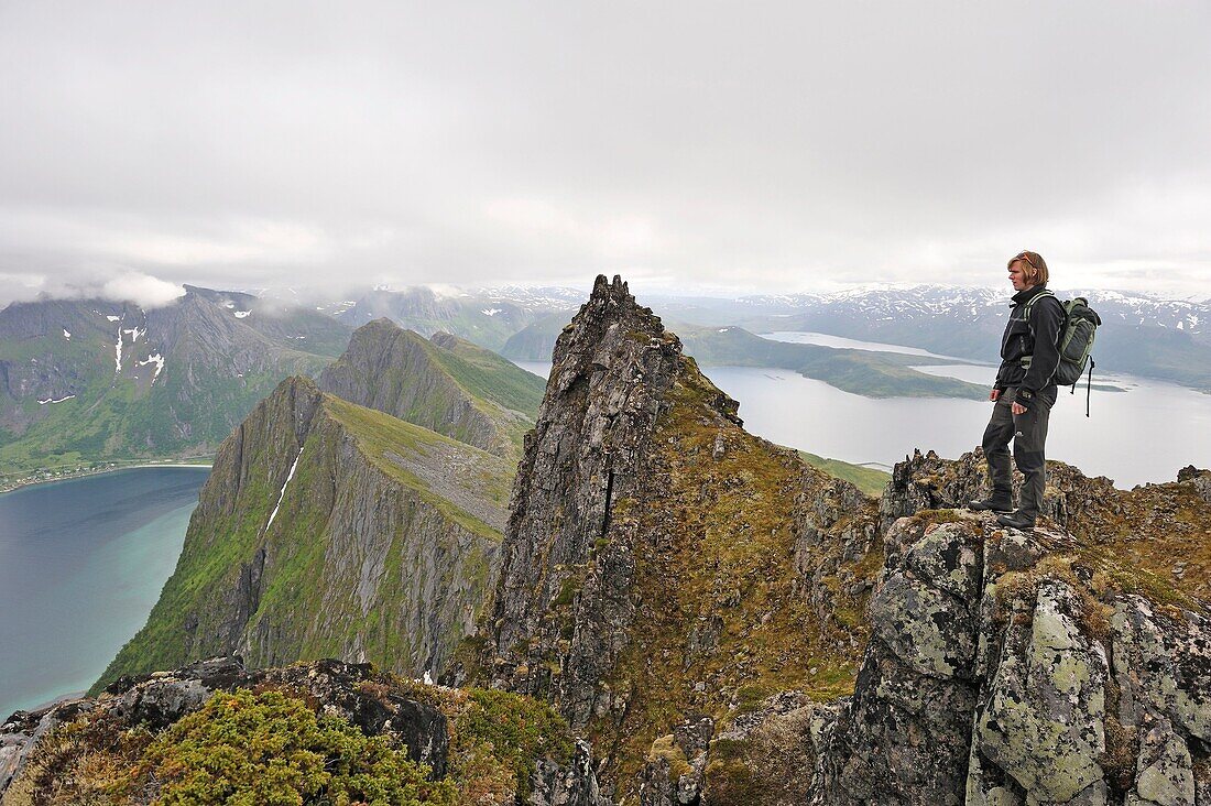 Blick über die Fjorde Bergsfjorden und Steinfjorden vom Berg Husfjellet Senja Insel Grafschaft Troms Norwegen Nordeuropa