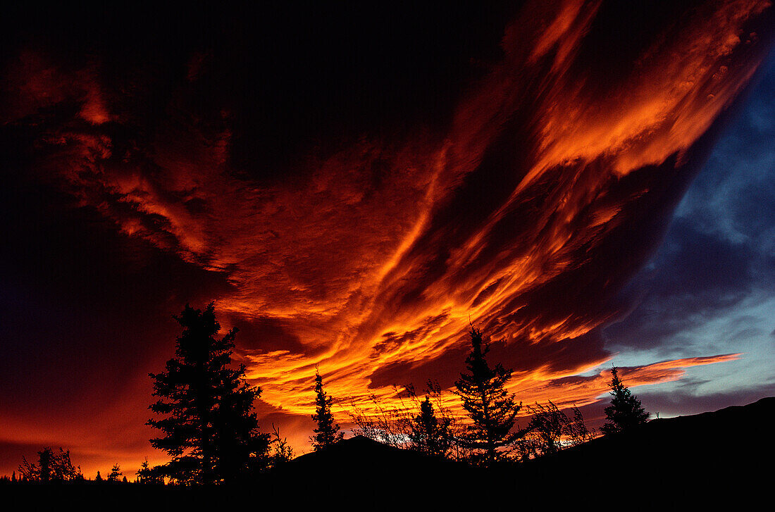 Clouds colored by sunset, Teklanika, Alaska