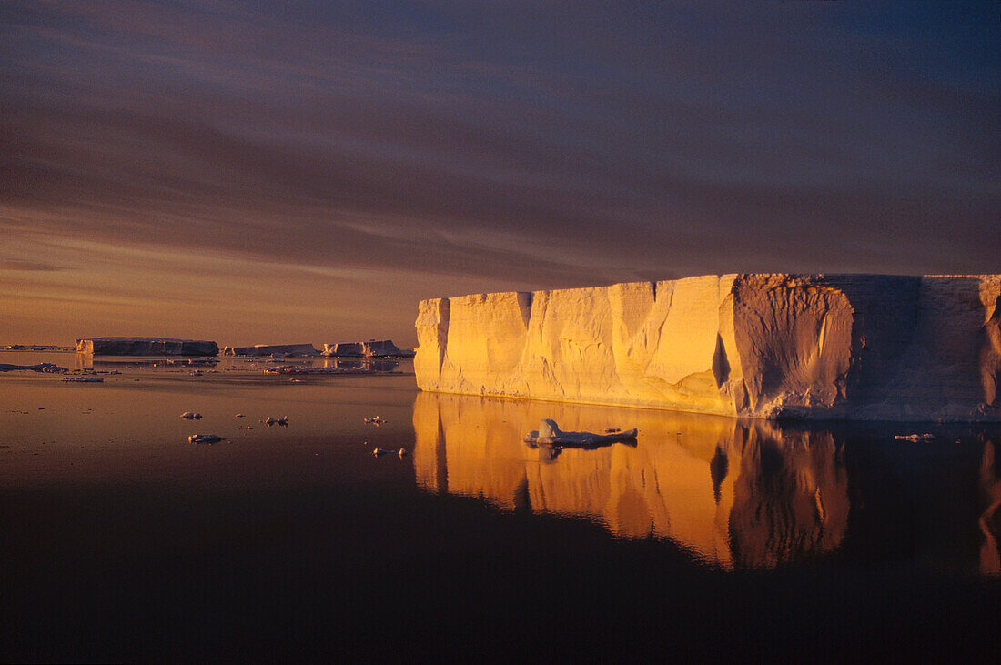 Tabular icebergs at sunrise, Antarctic Sound, Antarctica Peninsula, Antarctica