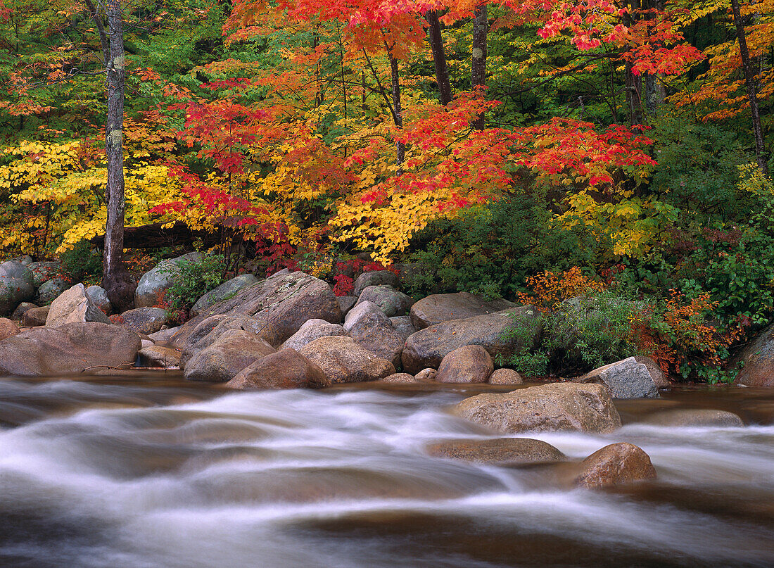 Autumn along Swift River, White Mountains National Forest, New Hampshire