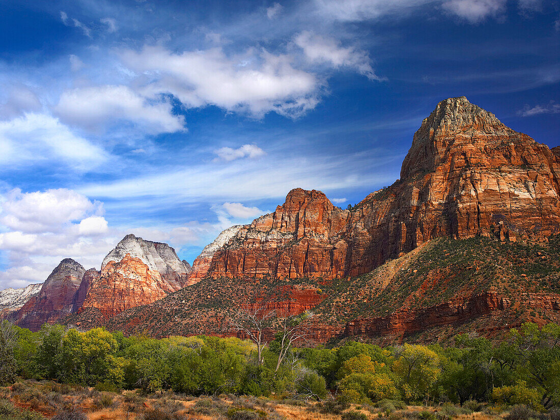 The Watchman, outcropping near south entrance of Zion National Park, cottonwoods in foreground, Utah