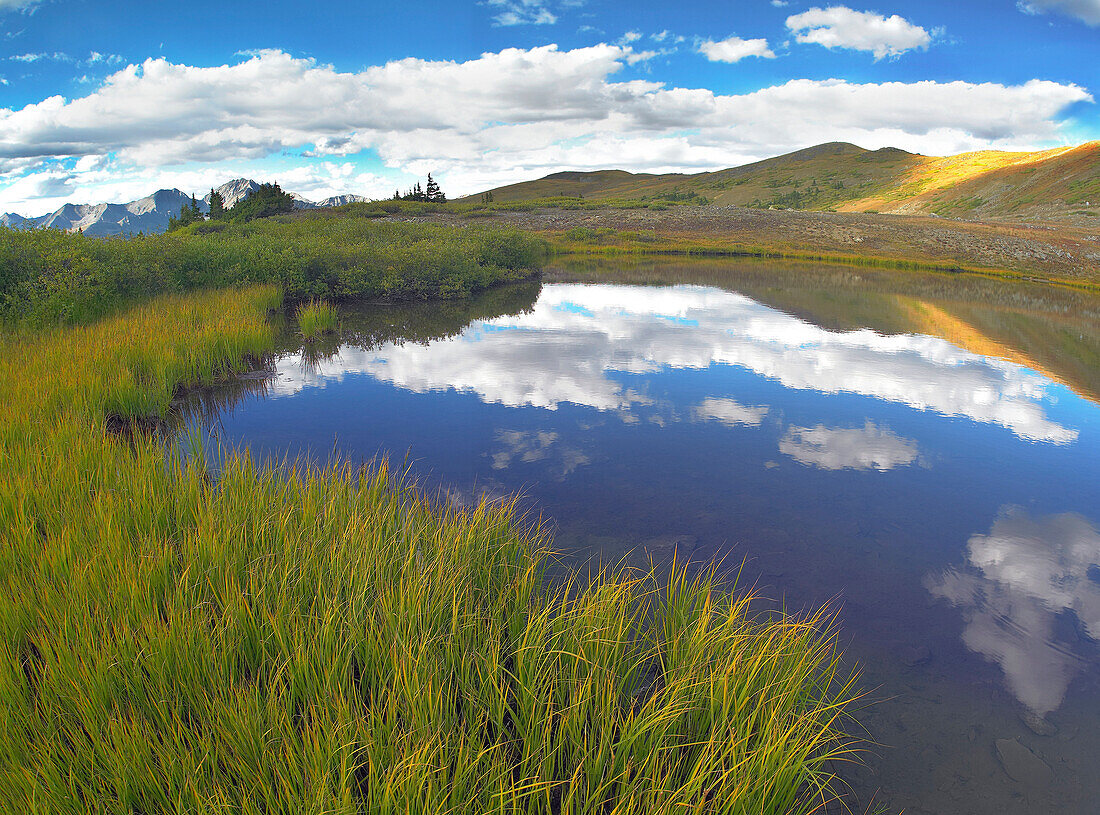 Clouds reflected in water at Cottonwood Pass, Rocky Mountains, Colorado