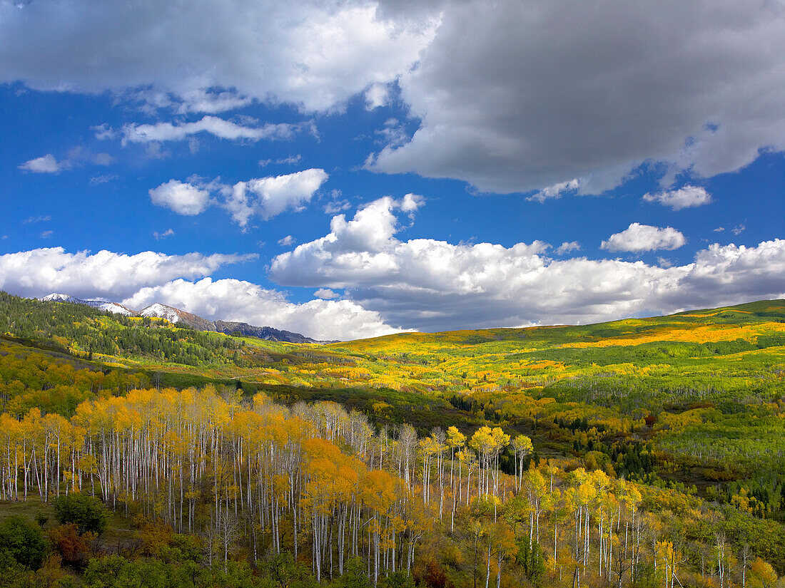 Gunnison National Forest in fall, Colorado