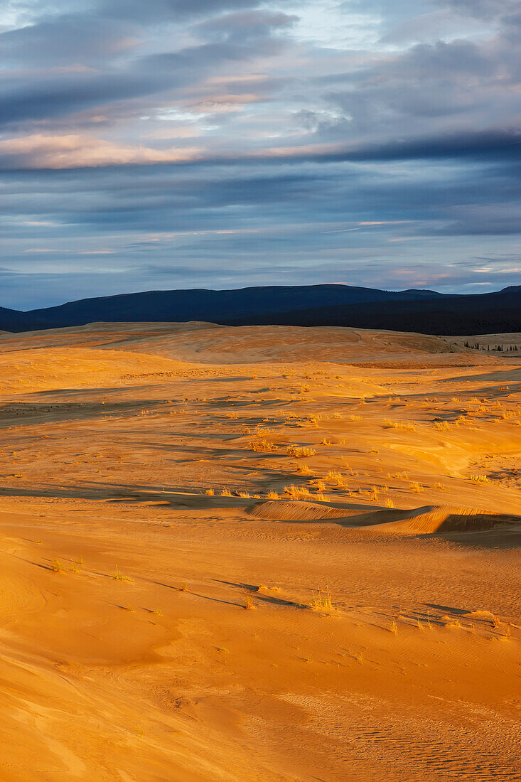 The Great Kobuk Sand Dunes with the shadows of the Arctic midnight sunset, Kobuk Valley National Park, Northwest Alaska, arctic, summer