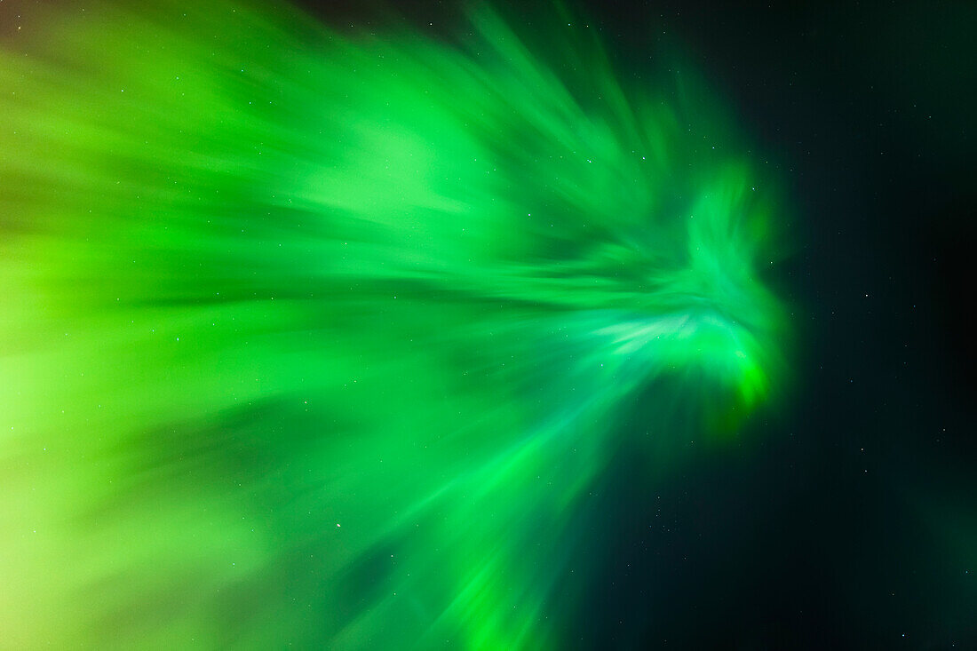 A Green Northern Lights Corona in the sky above the Tony Knowles Coastal Trail, Winter, Anchorage, Southcentral Alaska, USA.