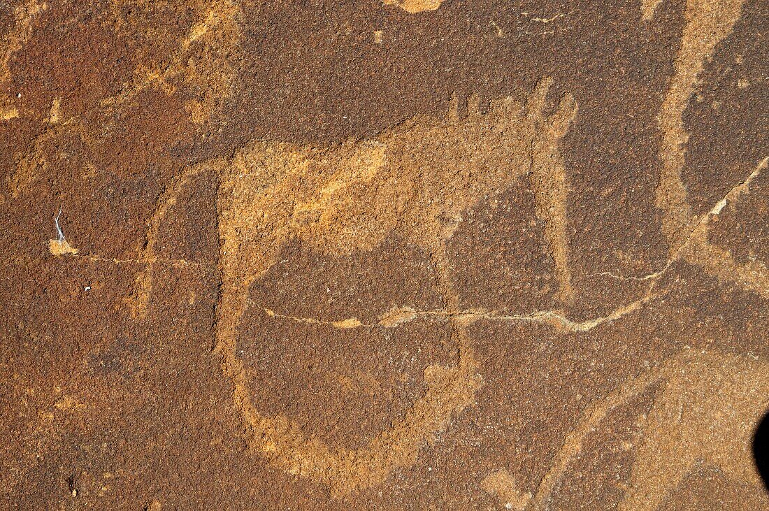 Namibia, Damaraland, Torra Conservancy, Huab River Valley, Rock engravings