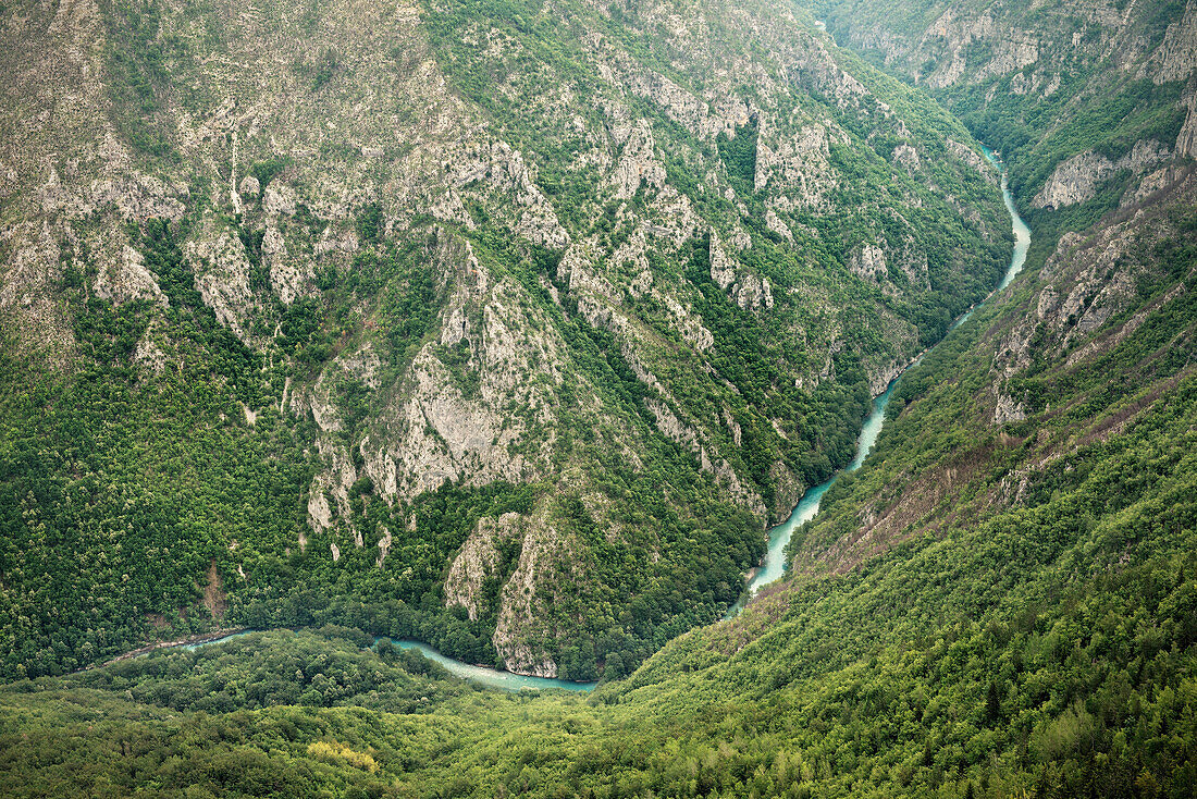 view at Tara River Canyon at Durmitor National Park, Zabljak, Montenegro, Western Balkan, Europe
