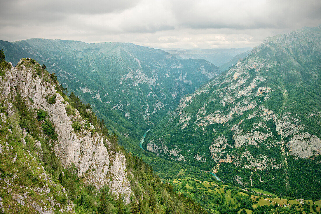 Blick in den Tara Fluss Canyon im Durmitor National Park, Zabljak, Montenegro, Balkan Halbinsel, Europa