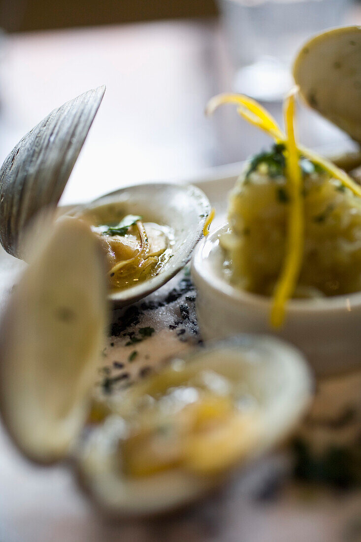 USA, New York State, New York City, Brooklyn, Close-up of large clams at Le Gamin Restaurant, Prospect Heights