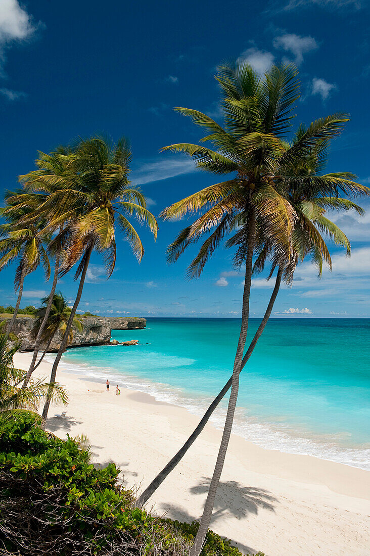 Tropical beach, Bottom Bay, Barbados