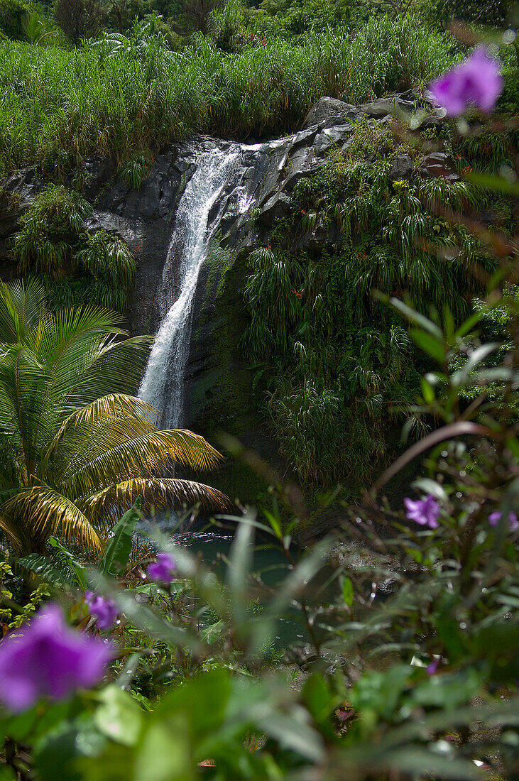 Concord Waterfall at St John district, Grenada, Caribbean
