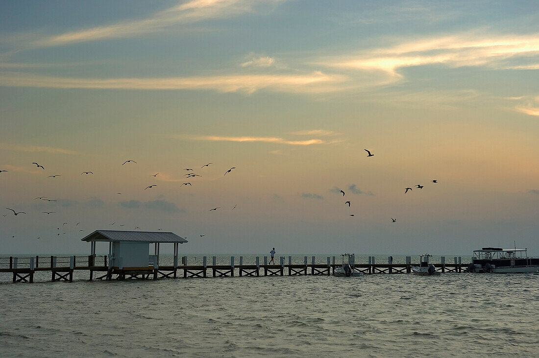 Sunrise over pier and boat dock, Islamorada, Florida Keys, Florida, USA