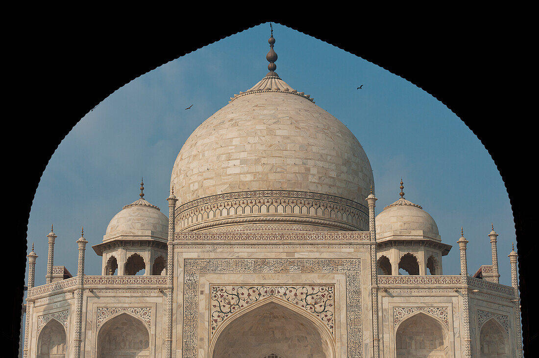 Detail of Taj Mahal, Agra, India