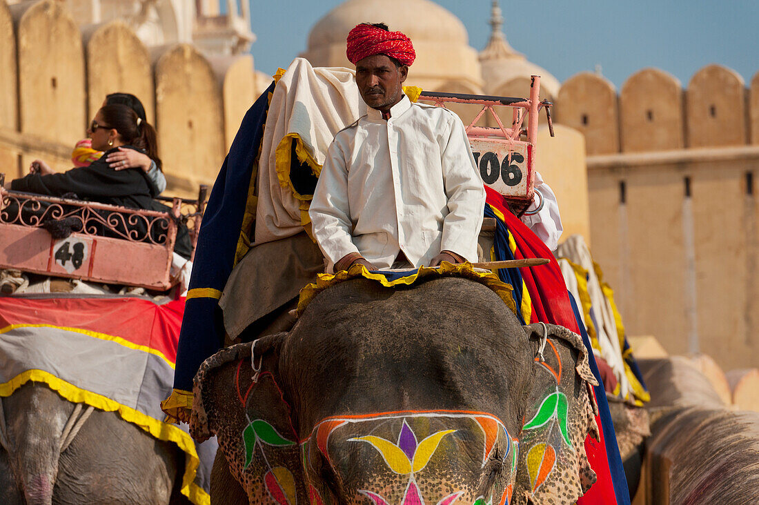 Elephants going up and down path to Amber Fort, Jaipur, Rajasthan, India
