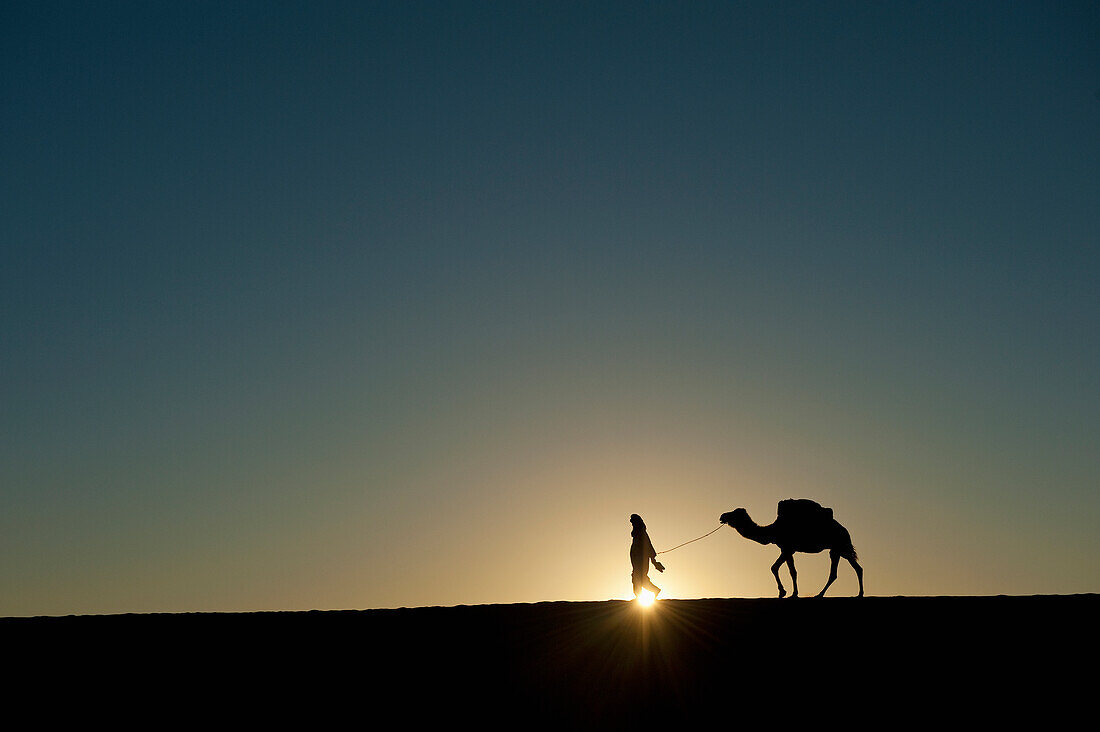 Silhouette of Berber 'Blue man' leading camel across sand dunes at dusk in Erg Chebbi near Merzouga, Sahara Desert, Morocco