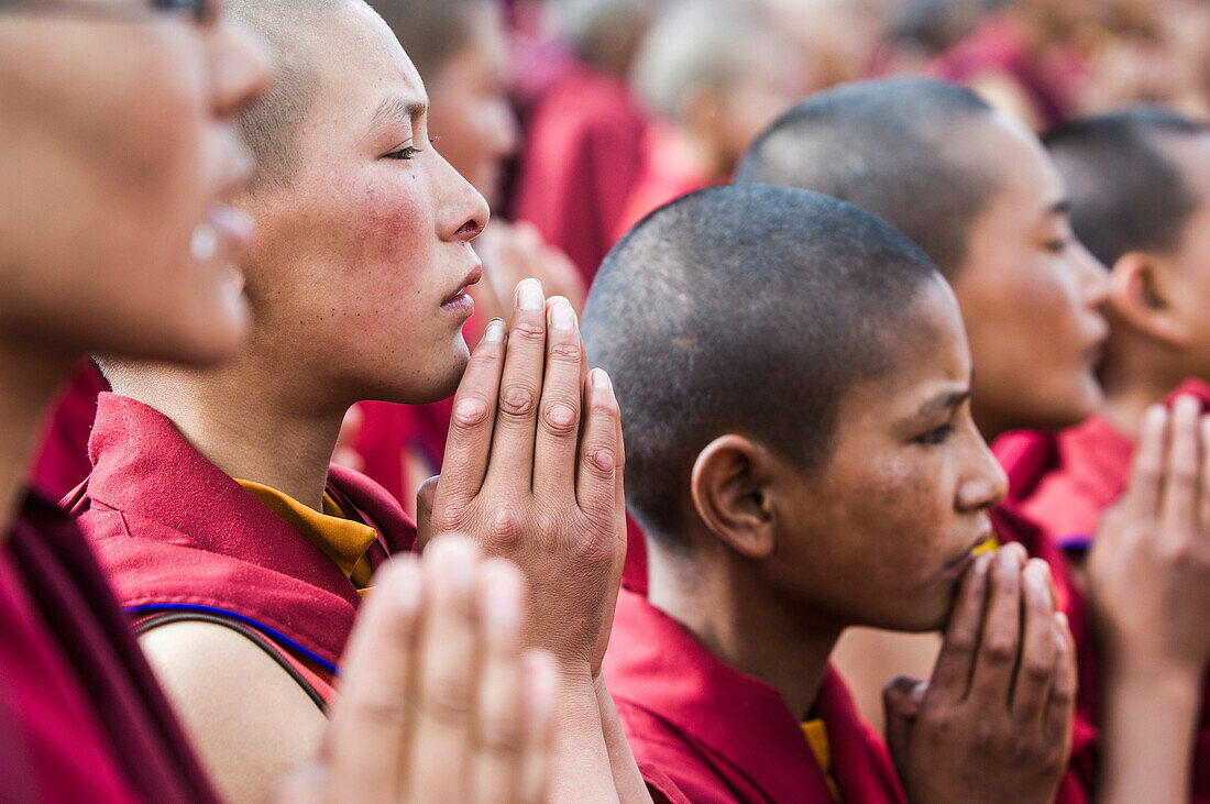 Young monks praying at the Dalai Lama's Teachings.  The Dalai Lama visited Leh, Ladakh - a Buddhist enclave in northern India, for four days in August   © James Sparshatt / Axiom