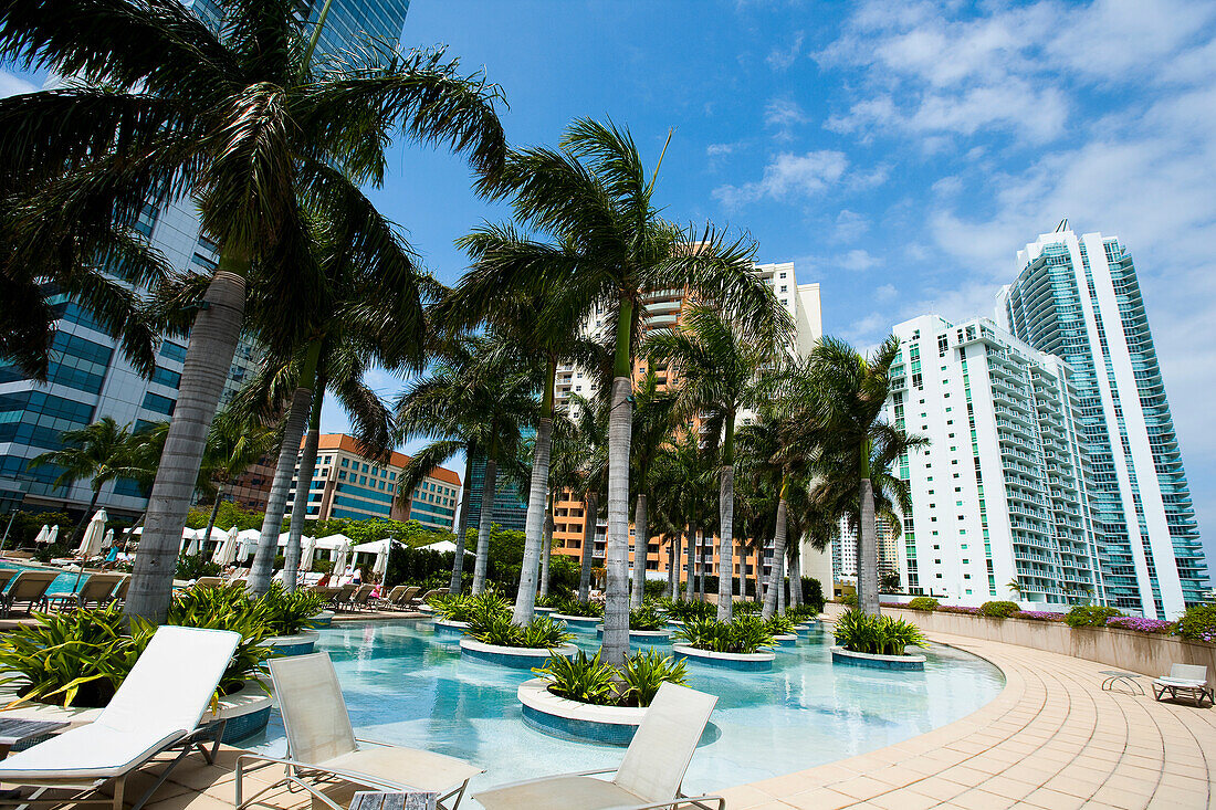 High rise buildings, hotels, swimming pool and palm trees in downtown, Miami, Florida, USA